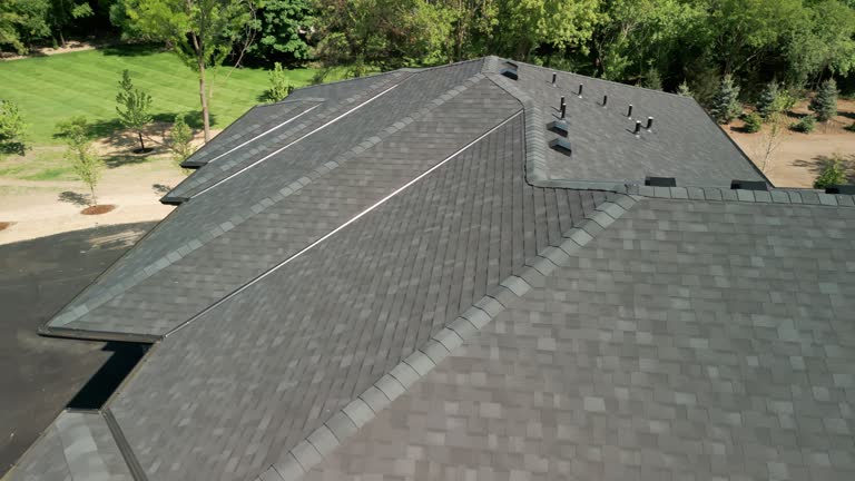 Best Sheet Metal Roofing  in Tanglewilde, WA