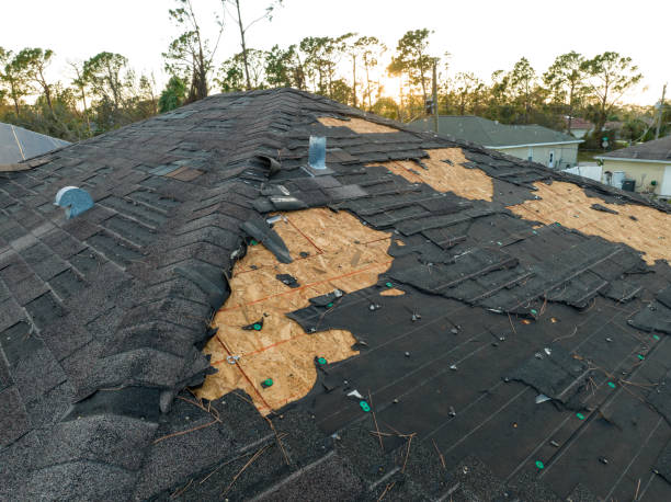 Hot Roofs in Tanglewilde, WA